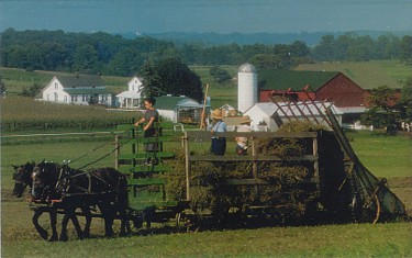 Featured is a postcard image of an Amish working farm in Lancaster County, PA.  The original card (which is matted ... perfect for framing) is for sale in The unltd.com Store.